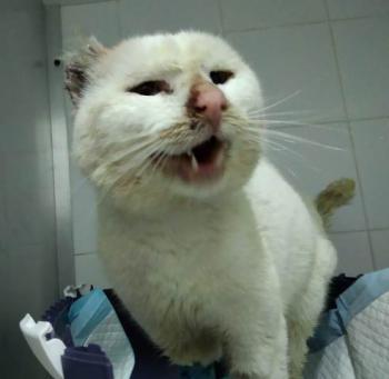 ohne Namen 8109 Bild von Knut