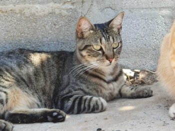 Miika Bild von Miika