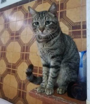 Kiko Bild von Kiko