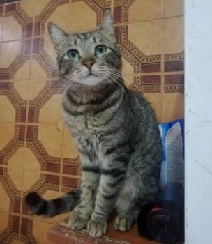 Kiko Bild von Kiko