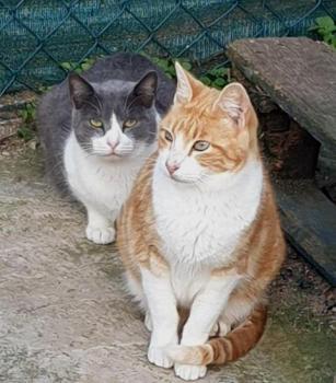 Oskar Bild von Oskar