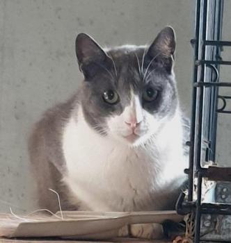 Oskar Bild von Oskar