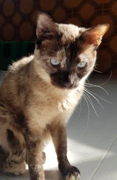 Agustina Bild von Agustina