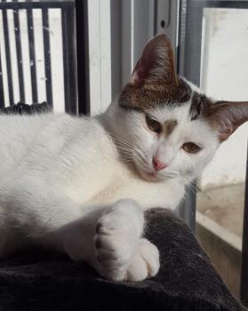 Dotty Bild von Dotty