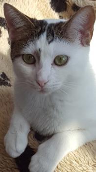 Dotty Bild von Dotty