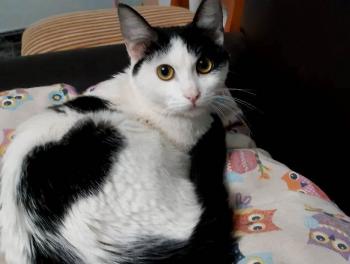 Aileen Bild von Aileen