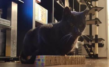 Camillo Bild von Camillo