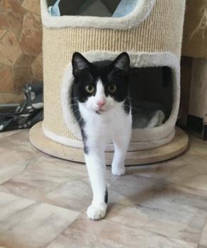 Ralfi Bild von Ralfi