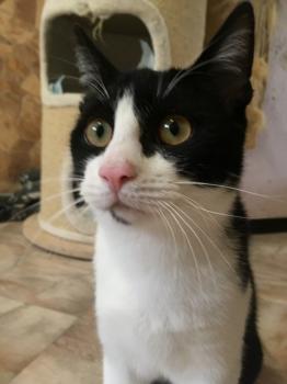 Ralfi Bild von Ralfi