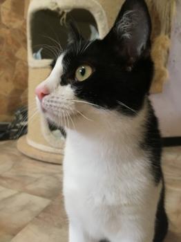 Ralfi Bild von Ralfi