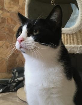 Ralfi Bild von Ralfi