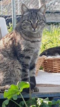 Simon Bild von Simon