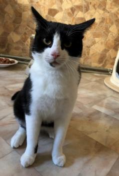 Ralfi Bild von Ralfi