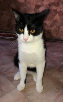 Ralfi Bild von Ralfi