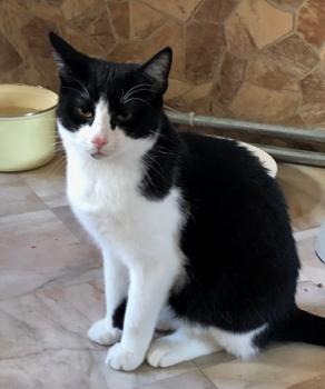 Ralfi Bild von Ralfi