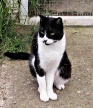 Bascha Bild von Bascha