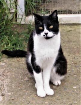 Bascha Bild von Bascha
