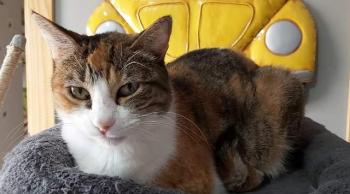 Mufi Bild von Mufi