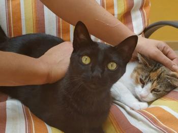 Mufi Bild von Mufi