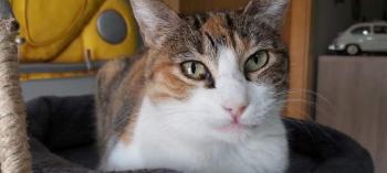 Mufi Bild von Mufi