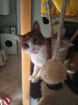 Mufi Bild von Mufi