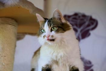 Suzette Bild von Suzette