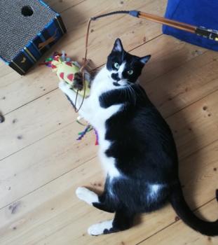 Bild von Naana