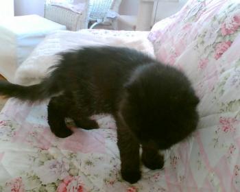 Zeidan Bild von Zeidan