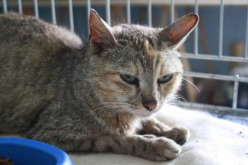 Ona und Babys Bild von Ona