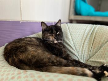 Berta Bild von Berta
