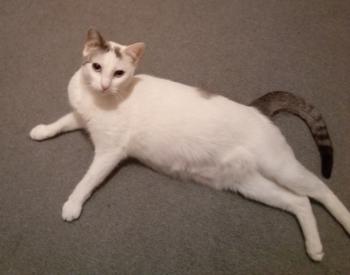Desirée Bild von Desirée