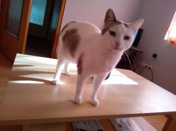 Desirée Bild von Desirée