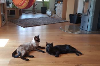 Baccio Bild von Baccio
