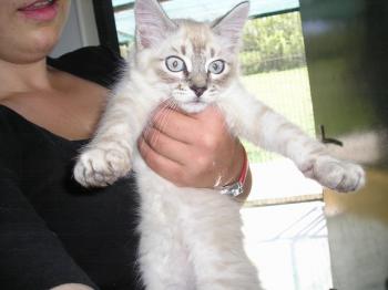 Sammy Bild von Sammy