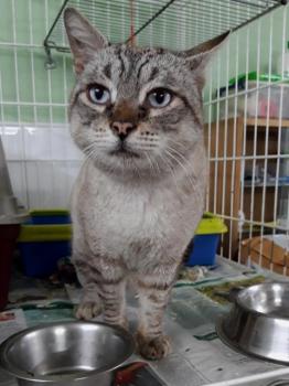 Mishu Bild von Mishu