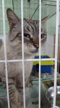 Mishu Bild von Mishu