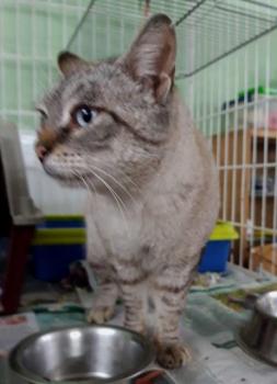 Mishu Bild von Mishu