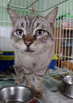 Mishu Bild von Mishu