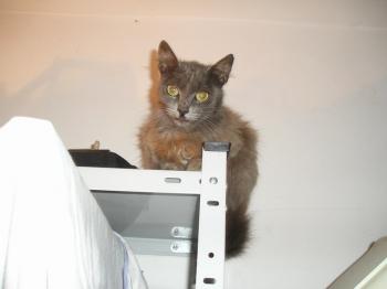 Kiko Bild von Kiko