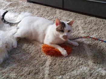 Mausi Bild von Mausi