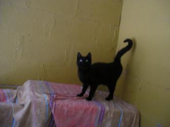 Ohne Bild von Nera Corleone