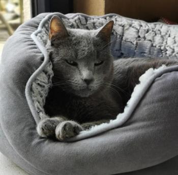 Rainiero Bild von Rainiero