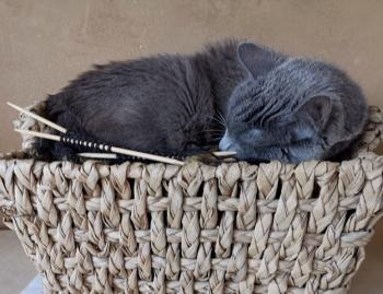 Rainiero Bild von Rainiero