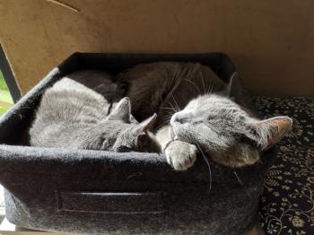 Rainiero Bild von Rainiero