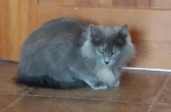 Fabiola Bild von Fabiola