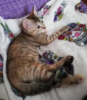 Irena Bild von Irena