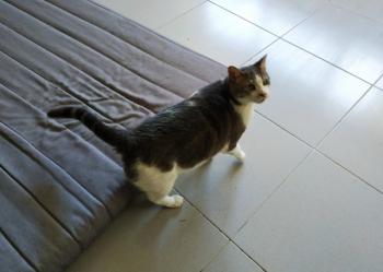 Selina Bild von Selina