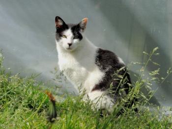 Inigo Bild von Inigo