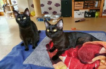 Junior Bild von Junior