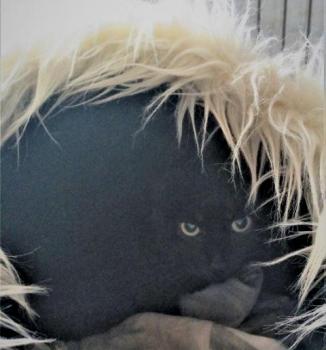 Leah Bild von Leah